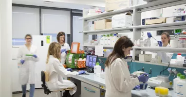 laboratorio