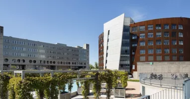 Studiare Medicina e Chirurgia