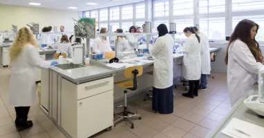 laboratorio