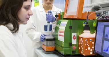 laboratorio