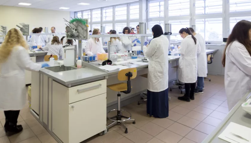 laboratorio