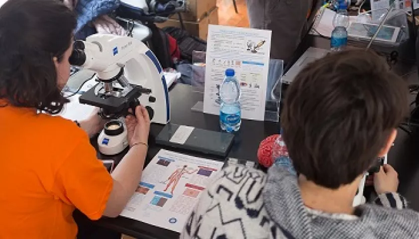 Studenti che guardano al microscopio