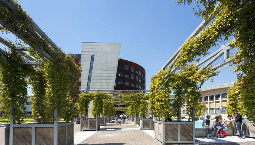 esterno edificio medicina