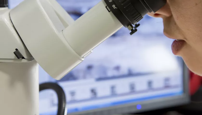 studentessa al microscopio