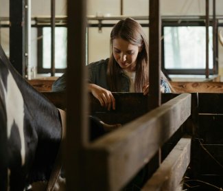veterinaria con cavallo nella stalla