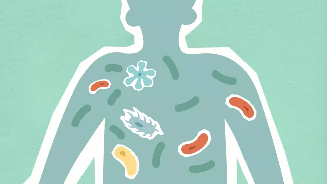 Il microbiota umano ovvero l'insieme di trilioni di microrganismi come batteri, funghi e virus che popolano il nostro corpo.Punti chiave del MicrobiotaComposizione: È formato da una flora batterica varia che colonizza diversi distretti, tra cui la pelle, le vie respiratorie e, in misura maggiore, l'apparato digerente.Funzioni: Svolge un ruolo cruciale per la salute generale, influenzando la digestione, il metabolismo e il corretto funzionamento del sistema immunitario